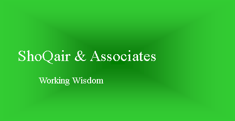 Text Box:           ShoQair & Associates                Working Wisdom 